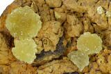 Yellow-Green Austinite Crystal Formation - Durango, Mexico #154713-1